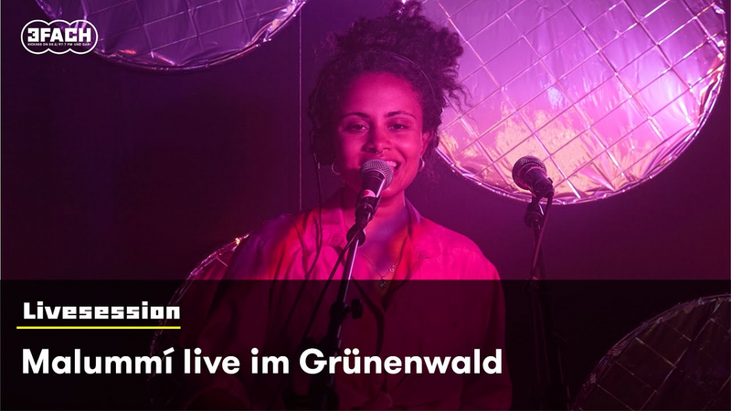 Video link: Malummi live im Grünenwald