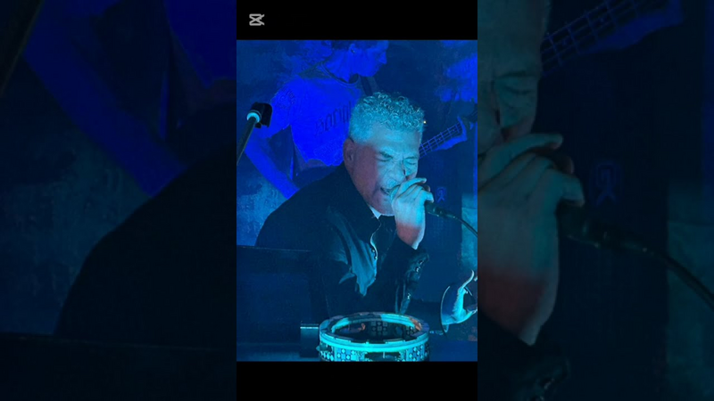 Video link: LBT Lindenbluetentee Video Collage